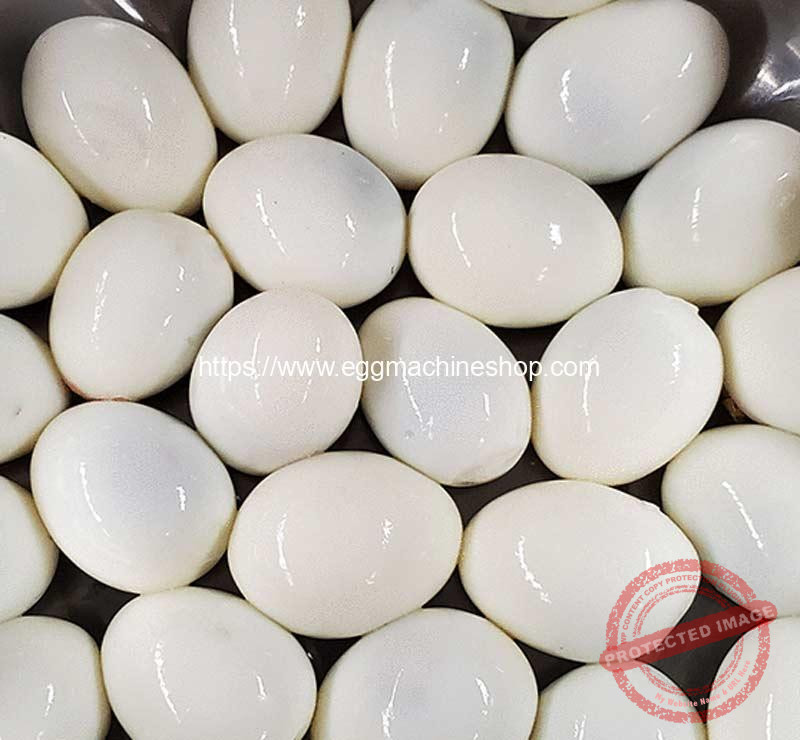 Automatic-Boiled-Egg-Peeling-Machine-Manufacturer and Supplier