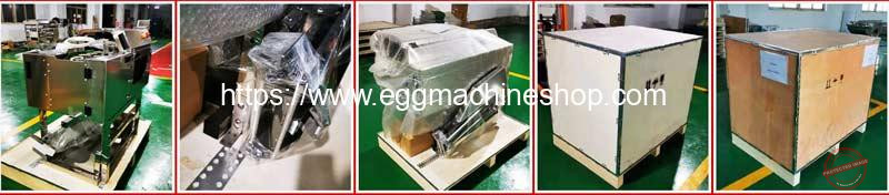 Egg-Breaking-White-and-Yolk-Separating-Machine-Delivery-Package
