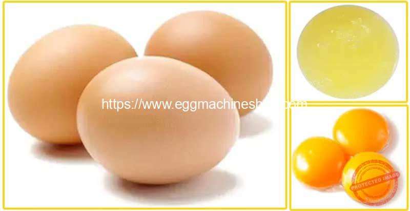 Egg-White-and-Yolk-Separating-Machine