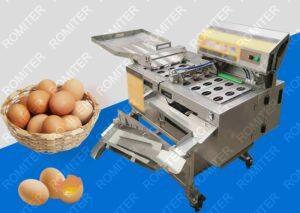 Automatic Egg Breaker Machine with Egg White and Yolk Separator Automatic Egg Breaker Machine with Egg White and Yolk Separator