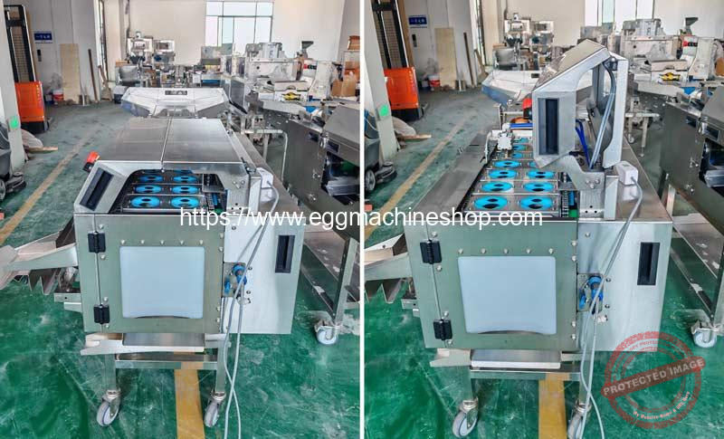 Automatic-Egg-Beater-Machine-with-White-and-Yolk-Separator-for-Indian-Customer