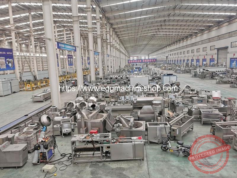 Automatic-Food-Processing-Machine-Manufacturer-Workshop-Visit