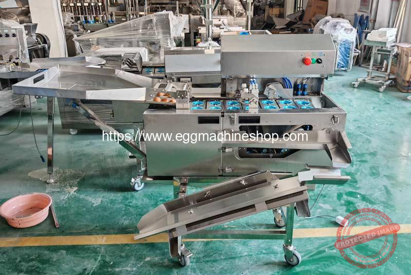 Double-Row-Egg-Beater-Machine-with-White-and-Yolk-Separator-for-India-Customer