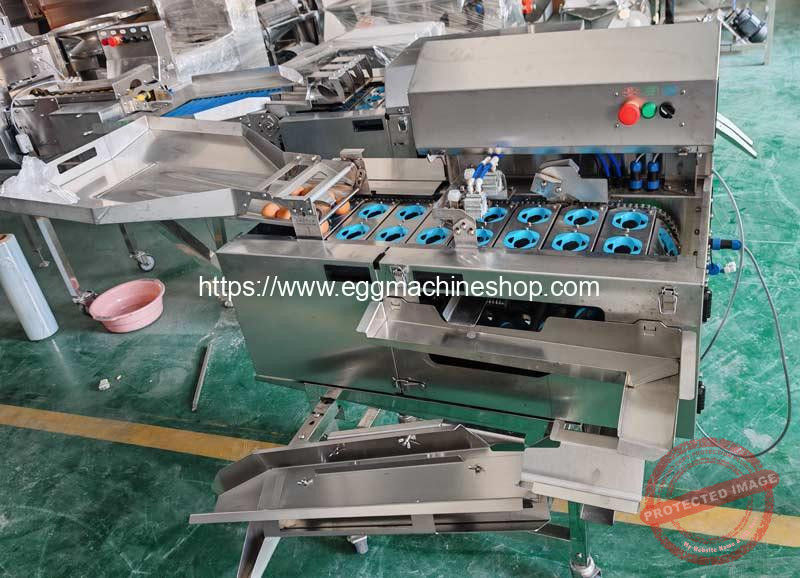 Double-Row-Egg-Beater-Machine-with-White-and-Yolk-Separator-for-Indian-Customer