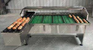 Automatic Egg Weight Grading Machine with Quality Checking Light Automatic Egg Weight Grading Machine with Quality Checking Light