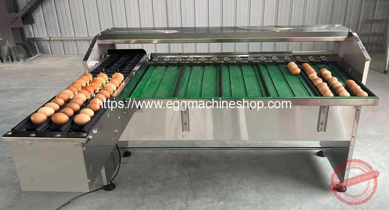 Automatic-Egg-Weight-Grading-Machine-with-Quality-Light-Selection-Function